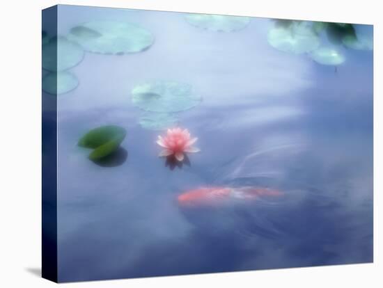 A Carp in Lily Pond, Kyoto, Japan-null-Premier Image Canvas