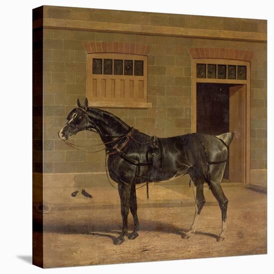 A Carriage Horse in a Stable Yard-John Frederick Herring I-Premier Image Canvas