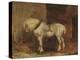 A Cart-Horse (Oil on Canvas)-Theodore Gericault-Premier Image Canvas