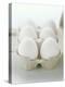 A Carton of Six White Eggs-null-Premier Image Canvas