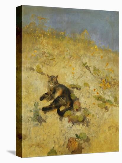 A Cat Basking in the Sun, 1884-Bruno Andreas Liljefors-Premier Image Canvas