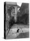 A Cat in a New Orleans Courtyard-null-Premier Image Canvas