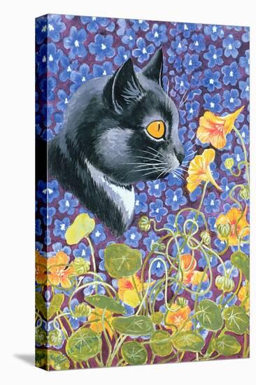 A Cat in a Sea of Flowers-Louis Wain-Premier Image Canvas