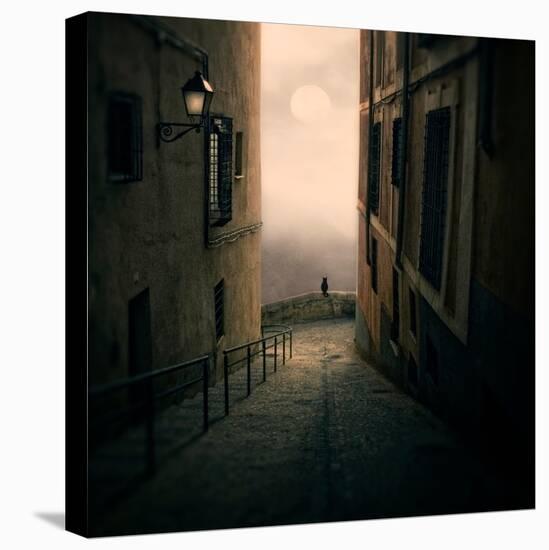 A Cat Watching the Moon in a Dark Street-Luis Beltran-Premier Image Canvas