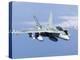 A CF-188A Hornet of the Royal Canadian Air Force-Stocktrek Images-Premier Image Canvas