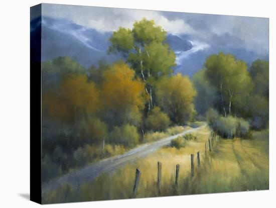 A Change of Seasons-David Marty-Premier Image Canvas