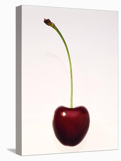 A Cherry Against a White Background-null-Premier Image Canvas