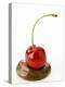 A Cherry on a Blob of Chocolate Sauce-Greg Elms-Premier Image Canvas