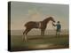 A Chestnut Horse (Possibly Old Partner) Held by a Groom-James Seymour-Premier Image Canvas