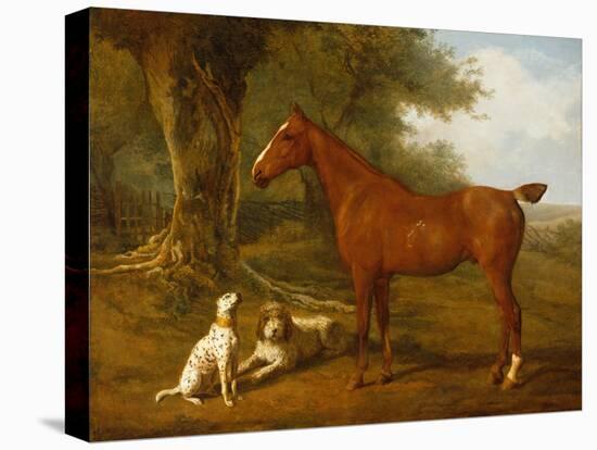 A Chestnut Hunter with a Briard and a Dalmatian-Jacques-Laurent Agasse-Premier Image Canvas
