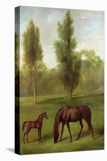 A Chestnut Mare and Foal in a Wooded Landscape, C.1761-63-George Stubbs-Premier Image Canvas