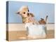 A Chihuahua Taking A Bath-graphicphoto-Premier Image Canvas