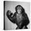 A Chimp, 1955-null-Premier Image Canvas