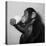 A Chimp Drinking a Cup of Tea-null-Premier Image Canvas