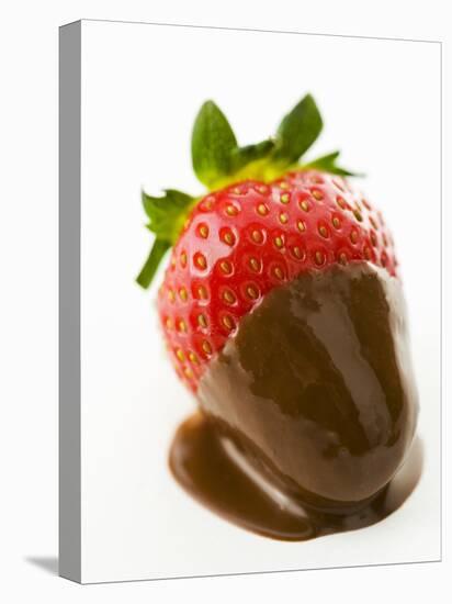 A Chocolate-Dipped Strawberry-Greg Elms-Premier Image Canvas