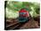 A Classic Vintage Cargo Train in America-Salvatore Elia-Premier Image Canvas