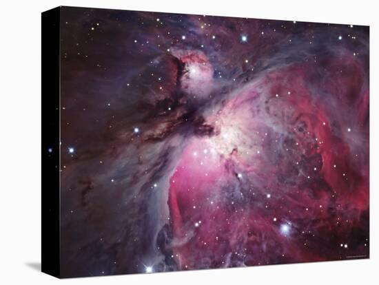 A Close up of the Orion Nebula-Stocktrek Images-Premier Image Canvas