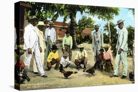 A Cock Fight, Puerto Rico, 1909-null-Premier Image Canvas