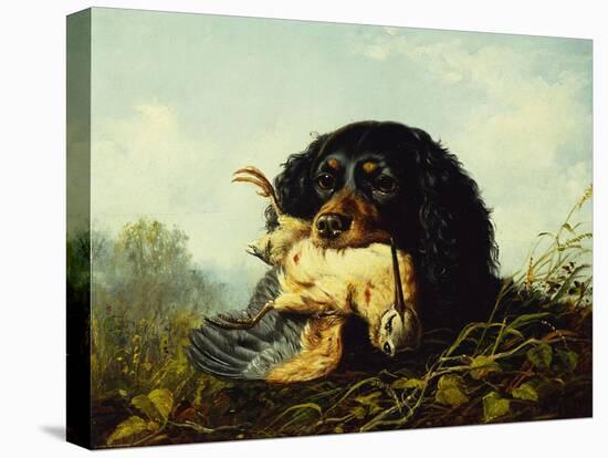 A Cocker Spaniel with a Woodcock-Arthur Fitzwilliam Tait-Premier Image Canvas