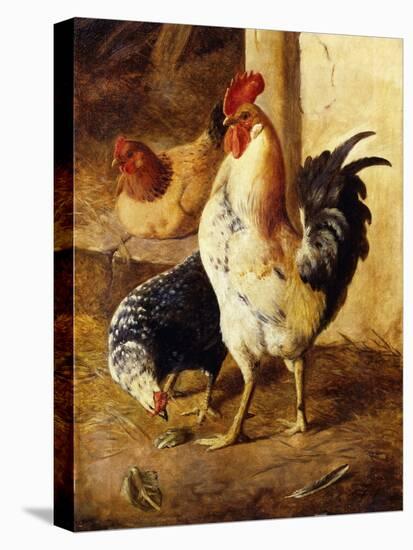A Cockerel and Chickens in a Farmyard-Federico Jimenez Fernandez-Premier Image Canvas