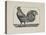 A Cockerel.-Thomas Bewick-Premier Image Canvas