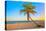 A Coconut Tree on a Deserted Tropical Beach at Sunset-Kamira-Premier Image Canvas