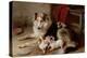 A Collie with Fox Terrier Puppies, 1913-Walter Hunt-Premier Image Canvas