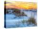 A Colorful Sunset over the Seaoats and Dunes on Fort Pickens Beach in the Gulf Islands National Sea-Colin D Young-Premier Image Canvas