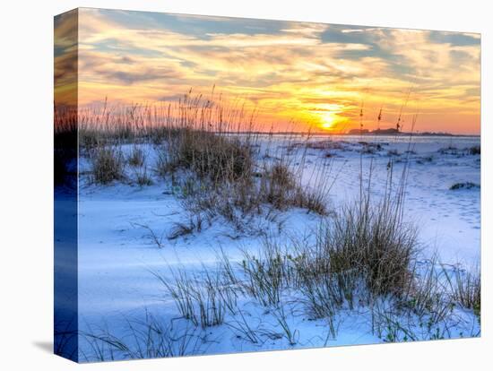 A Colorful Sunset over the Seaoats and Dunes on Fort Pickens Beach in the Gulf Islands National Sea-Colin D Young-Premier Image Canvas
