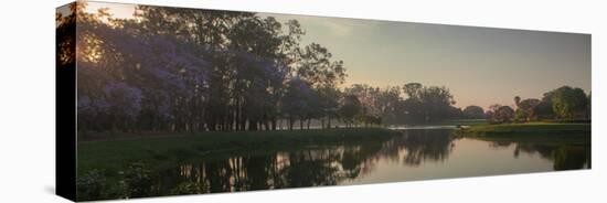 A Colorful Sunset with Trees in Bloom in Sao Paulo's Ibirapuera Park-Alex Saberi-Premier Image Canvas