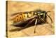 A Common Adult Worker Wasp, Vespula Vulgaris-Sinclair Stammers-Premier Image Canvas