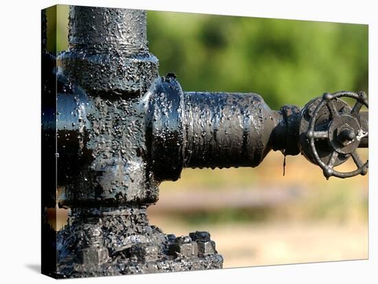 A Control Valve of an Oil Pump-null-Premier Image Canvas