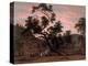 A Corrobery of Natives in Mill's Plains, 1832-John Glover-Premier Image Canvas