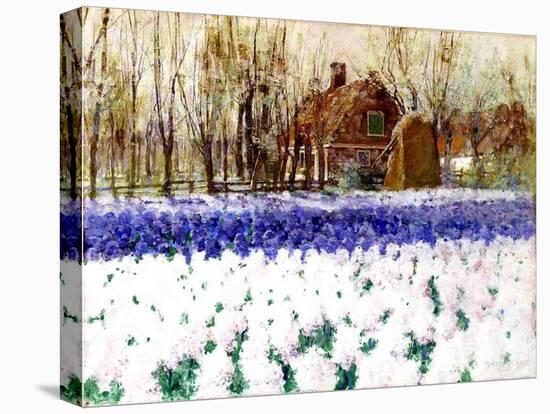 A Cottage and a Field of Hyacinths-George Hitchcock-Premier Image Canvas