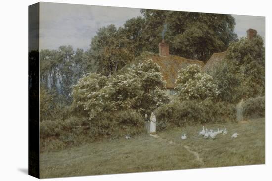 A Cottage at Farringford, Isle of Wight-Helen Allingham-Premier Image Canvas