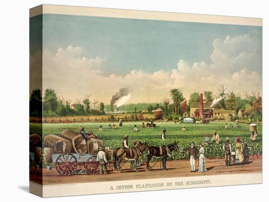 A Cotton Plantation on the Mississippi, Pub. 1884-William Aiken Walker-Premier Image Canvas