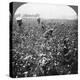 A Cotton Plantation, Rome, Georgia, USA, 1898-BL Singley-Premier Image Canvas