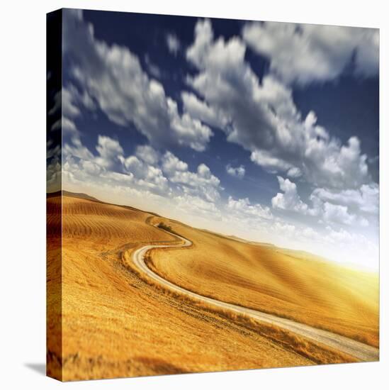 A Country Road in Field Against Moody Sky, Tuscany, Italy-null-Premier Image Canvas