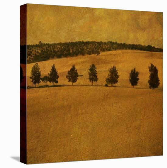 A Countryside View with a Row of Trees-Trigger Image-Premier Image Canvas