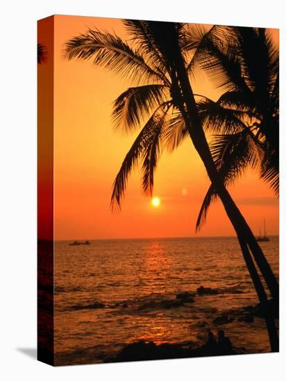 A Couple in Silhouette, Enjoying a Romantic Sunset Beneath the Palm Trees in Kailua-Kona, Hawaii-Ann Cecil-Premier Image Canvas