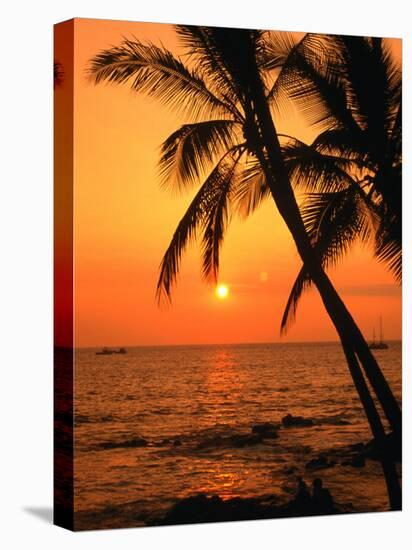 A Couple in Silhouette, Enjoying a Romantic Sunset Beneath the Palm Trees in Kailua-Kona, Hawaii-Ann Cecil-Premier Image Canvas