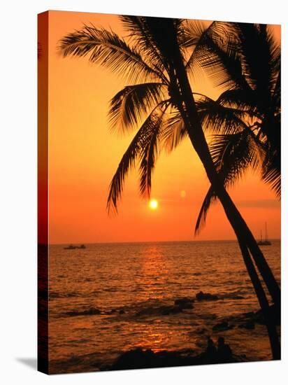 A Couple in Silhouette, Enjoying a Romantic Sunset Beneath the Palm Trees in Kailua-Kona, Hawaii-Ann Cecil-Premier Image Canvas