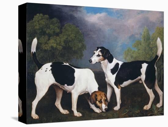 A Couple of Foxhounds-George Stubbs-Premier Image Canvas