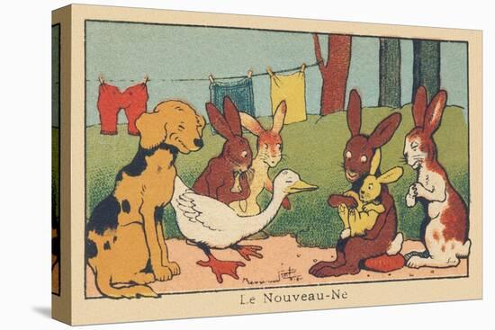 A Couple of Rabbits Introduces their Young Baby to the Other Animals.” the Newborn” ,1936 (Illustra-Benjamin Rabier-Premier Image Canvas