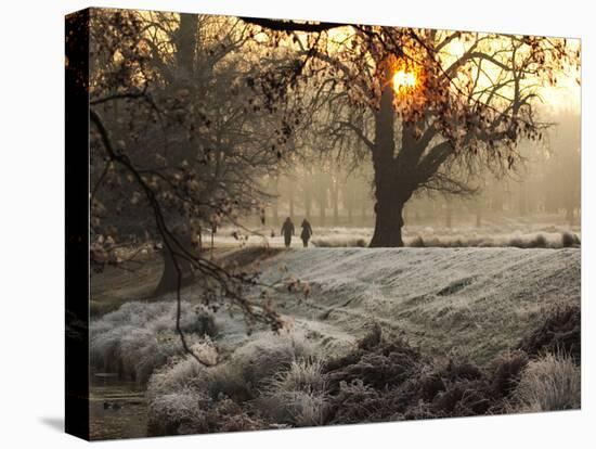 A Couple Walk in the Winter in Richmond Park-Alex Saberi-Premier Image Canvas