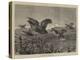 A Covey of Partridges-Harrison William Weir-Premier Image Canvas