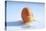 A Cracked Egg-Frank Weymann-Premier Image Canvas