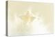 A Cream-White Christmassy Star in a Fleecy Bed-Petra Daisenberger-Premier Image Canvas