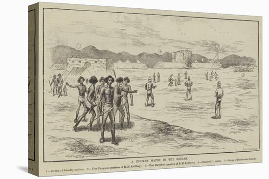 A Cricket Match in the Soudan-null-Premier Image Canvas