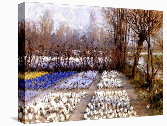 A Crocus Field in Spring, C.1889-George Hitchcock-Premier Image Canvas